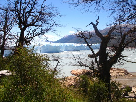 037 A - El Calafate, ledovec Perito Moreno