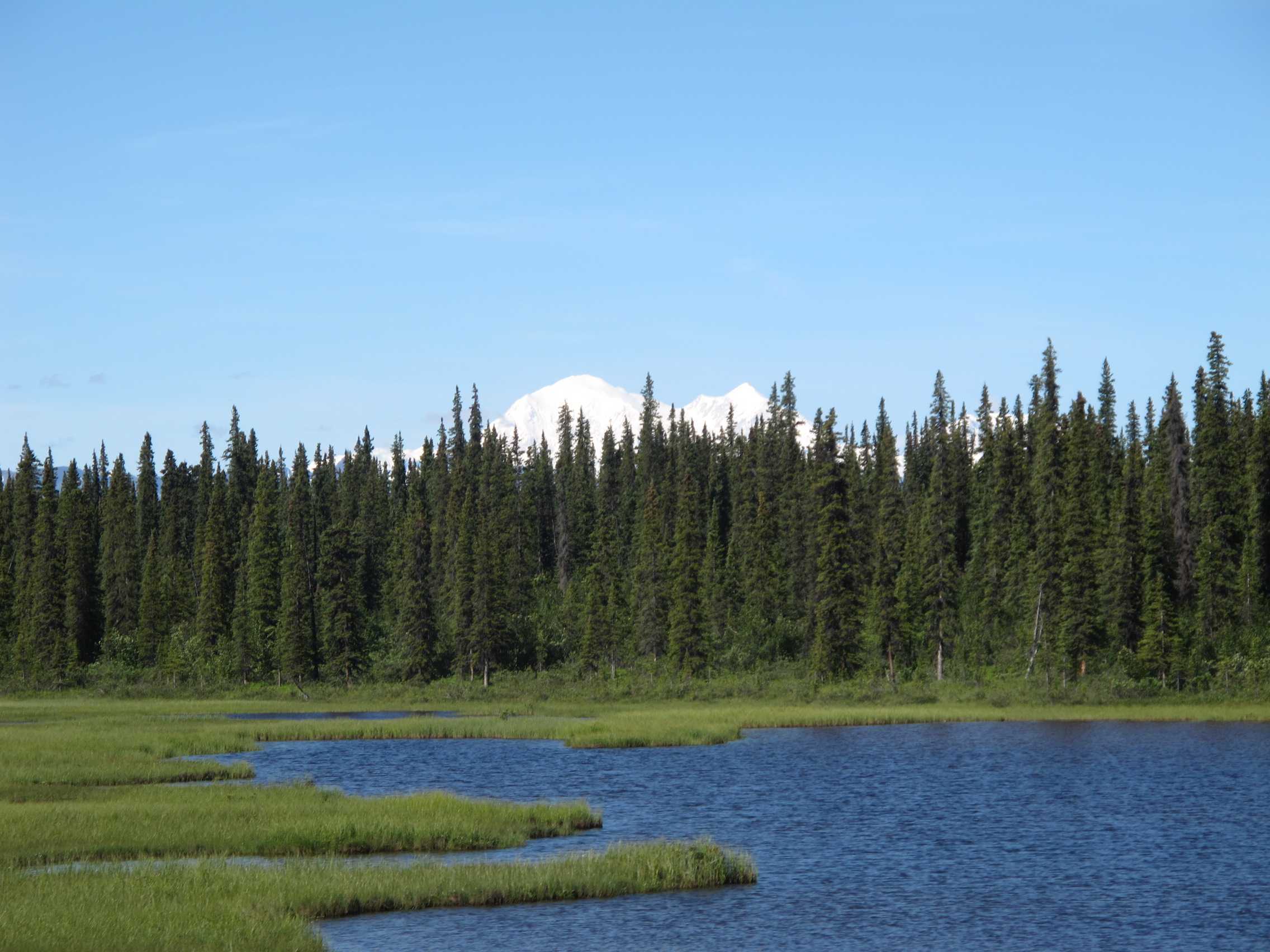 015 putováním vlakem je zážitek, zvláště je-li vidět nejvyšší hora USA Denali Mt.McKinley)