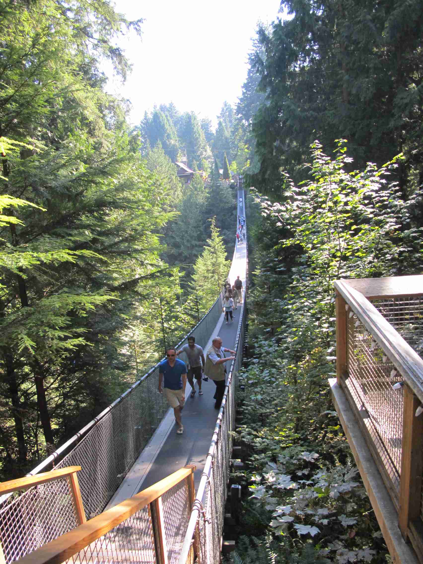 1 Capilano suspension bridge park 