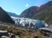 NZj Fox Glacier