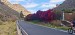 IMG-20250319-WA0002