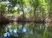 8 mangrovníkový kanál