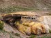 067 A - Mendoza,výtel do And,Puente del Inca - minerální vody bývalých lázní